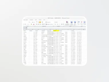 ms excel for data entry